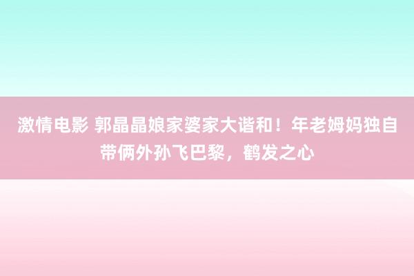 激情电影 郭晶晶娘家婆家大谐和！年老姆妈独自带俩外孙飞巴黎，鹤发之心