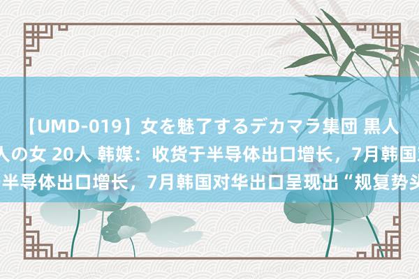 【UMD-019】女を魅了するデカマラ集団 黒人ナンパ エロくてイイ大人の女 20人 韩媒：收货于半导体出口增长，7月韩国对华出口呈现出“规复势头”