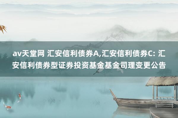 av天堂网 汇安信利债券A，汇安信利债券C: 汇安信利债券型证券投资基金基金司理变更公告