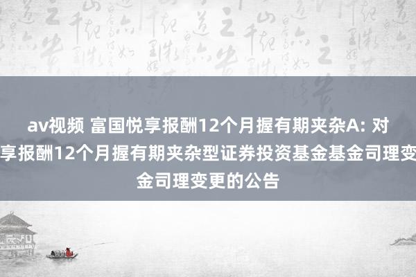 av视频 富国悦享报酬12个月握有期夹杂A: 对于富国悦享报酬12个月握有期夹杂型证券投资基金基金司理变更的公告