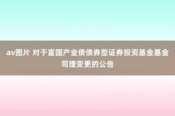 av图片 对于富国产业债债券型证券投资基金基金司理变更的公告