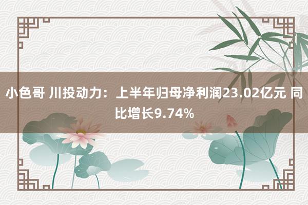 小色哥 川投动力：上半年归母净利润23.02亿元 同比增长9.74%