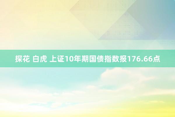 探花 白虎 上证10年期国债指数报176.66点