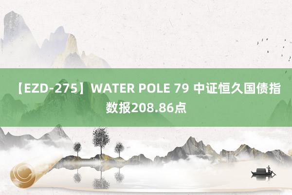 【EZD-275】WATER POLE 79 中证恒久国债指数报208.86点