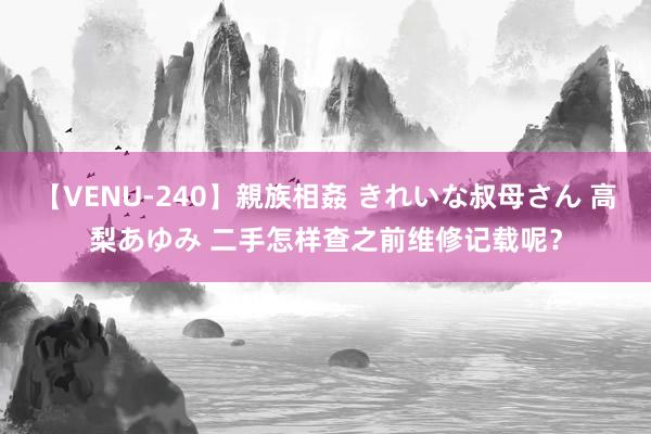 【VENU-240】親族相姦 きれいな叔母さん 高梨あゆみ 二手怎样查之前维修记载呢？