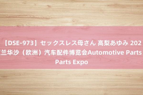 【DSE-973】セックスレス母さん 高梨あゆみ 2024年波兰华沙（欧洲）汽车配件博览会Automotive Parts Expo