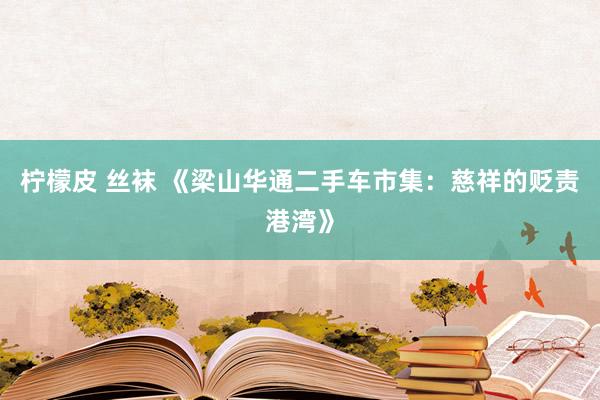 柠檬皮 丝袜 《梁山华通二手车市集：慈祥的贬责港湾》