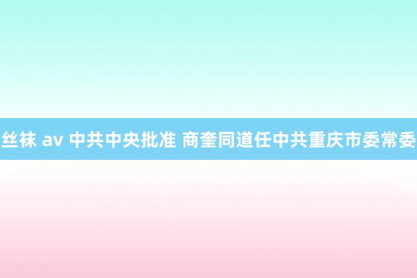 丝袜 av 中共中央批准 商奎同道任中共重庆市委常委