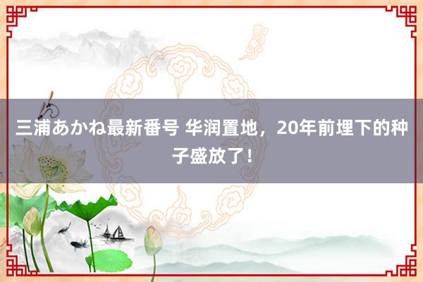 三浦あかね最新番号 华润置地，20年前埋下的种子盛放了！