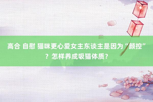 高合 自慰 猫咪更心爱女主东谈主是因为“颜控”？怎样养成吸猫体质？