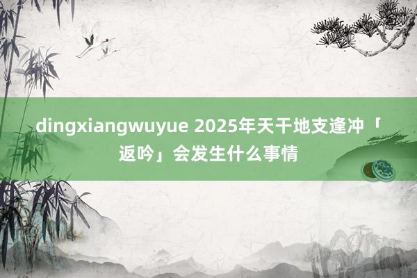 dingxiangwuyue 2025年天干地支逢冲「返吟」会发生什么事情