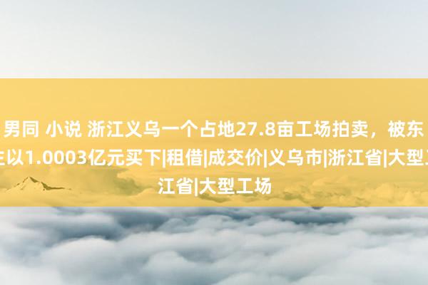 男同 小说 浙江义乌一个占地27.8亩工场拍卖，被东谈主以1.0003亿元买下|租借|成交价|义乌市|浙江省|大型工场