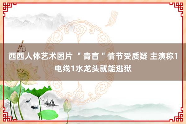 西西人体艺术图片 ＂青盲＂情节受质疑 主演称1电线1水龙头就能逃狱