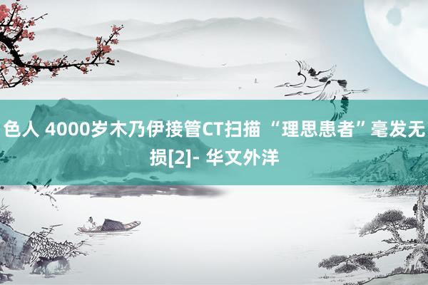 色人 4000岁木乃伊接管CT扫描 “理思患者”毫发无损[2]- 华文外洋